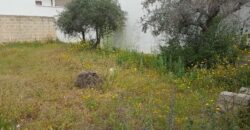 Trepuzzi: Terreno edificabile in via Mazzotta mq 360