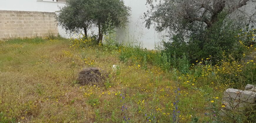 Trepuzzi: Terreno edificabile in via Mazzotta mq 360