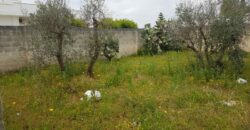 Trepuzzi: Terreno edificabile in via Mazzotta mq 360