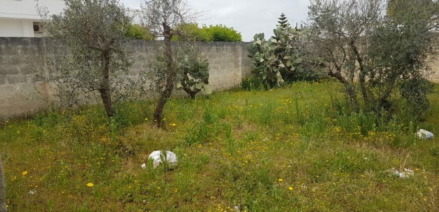 Trepuzzi: Terreno edificabile in via Mazzotta mq 360